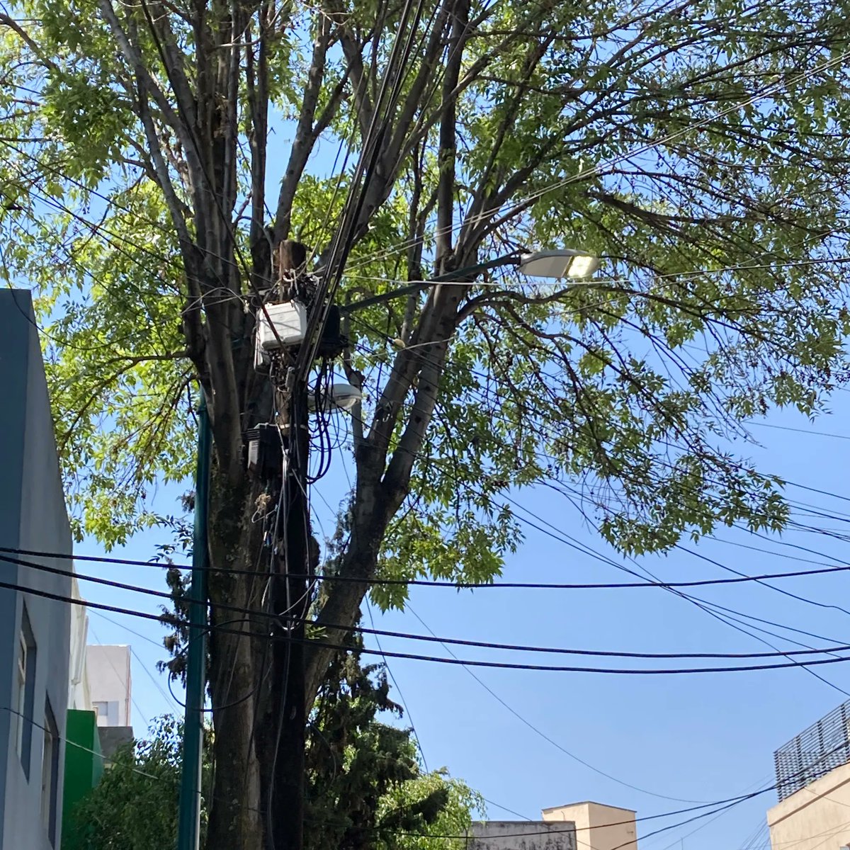 ♎️𝕄𝕠𝕣𝕟𝕚𝕖 𝔸𝕝𝕗𝕒𝕣𝕠🇲🇽 tweet media