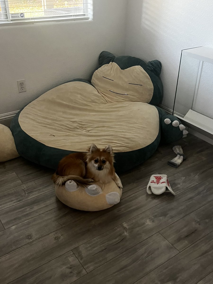 jennkindaexists on Twitter "Mika likes feet"