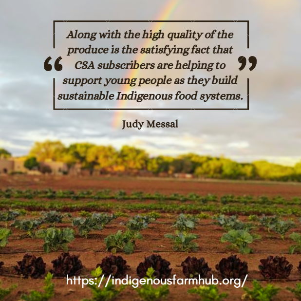 IndigenousFarm's tweet photo. We are so grateful for our CSA partners and the opportunity to hear the stories and experiences they have to share with us! Thank you, Judy! #OG #OneGeneration #IFH #IndigenousFarmHub #CSA  #NewMexico 🫶💚🥕🍅🌽 https://t.co/ddR1toXoV3