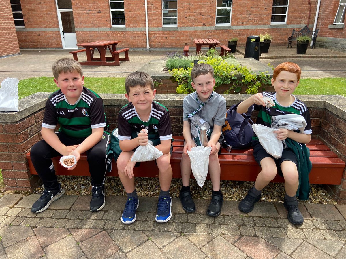 St Michael’s P.S., Finnis munching away on their Rice Crispy buns which they made in Home Economics today. 😋 #vhcprimaryschoolactivitydays2023