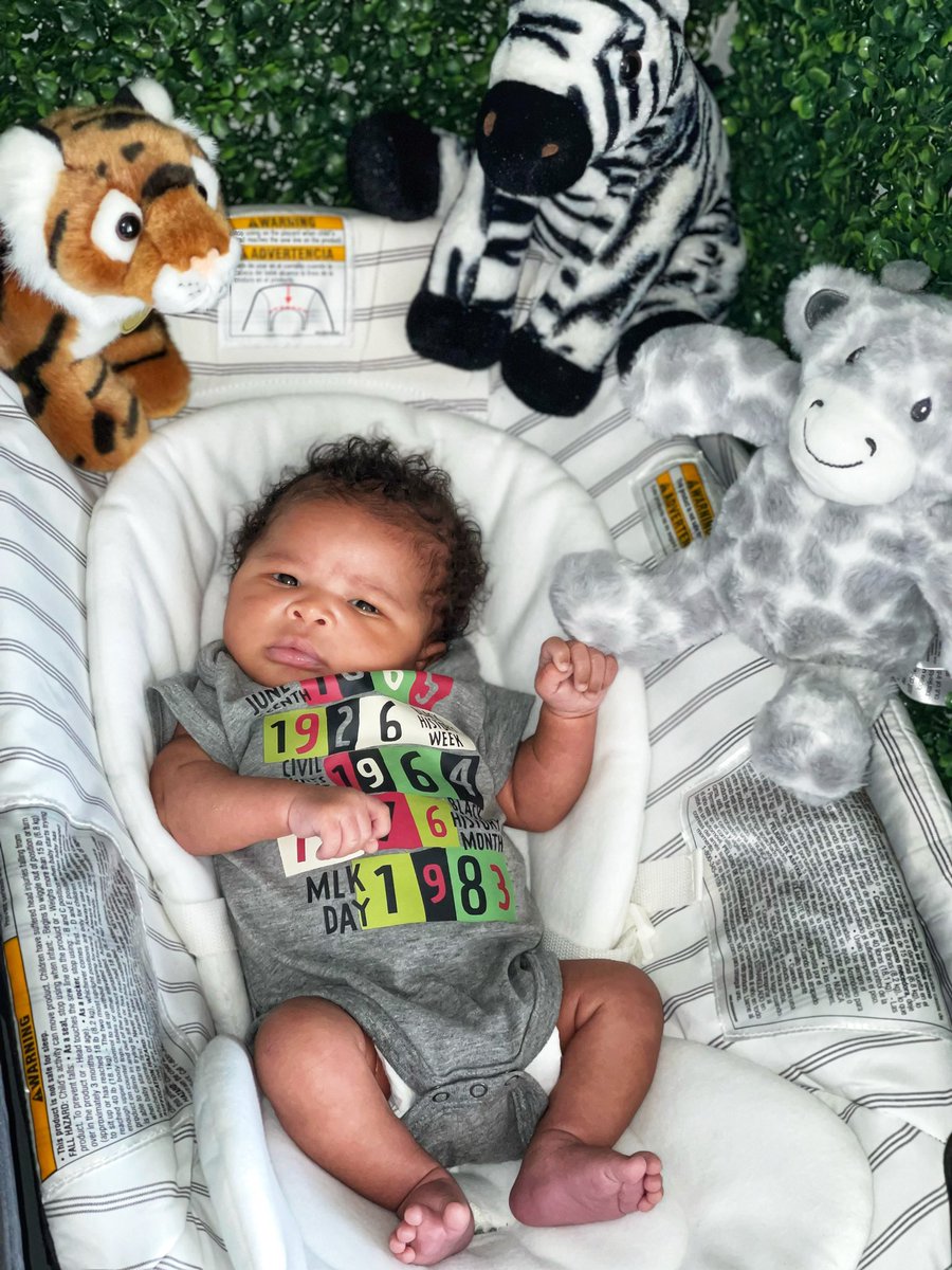 Nefertiti Anderson tweet media