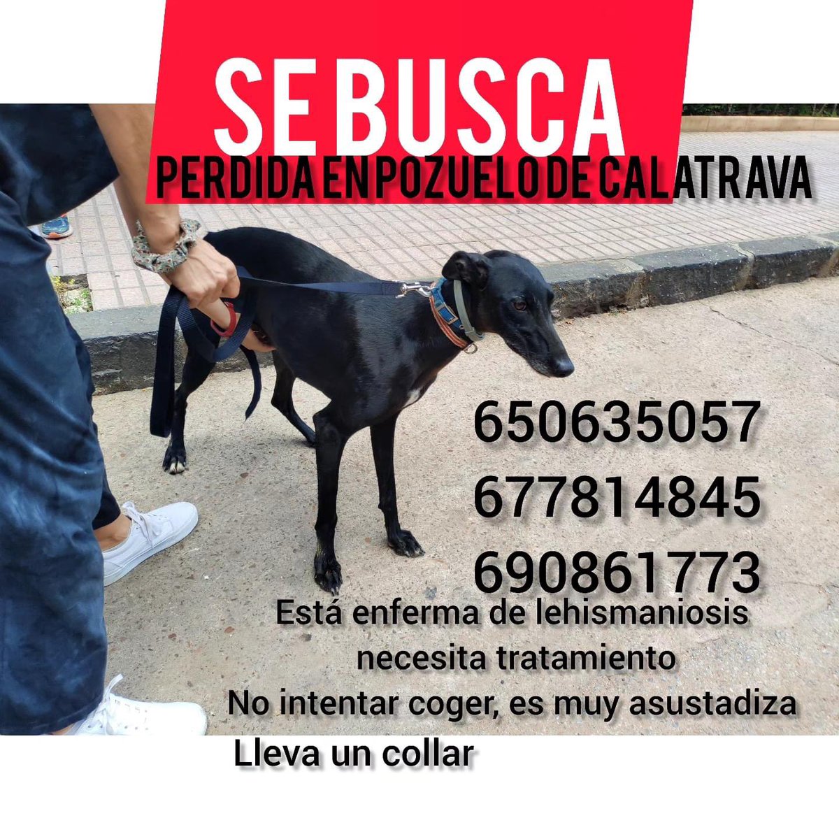 ¡SE BUSCA!
🙏🏼Por favor compartir🙏🏼