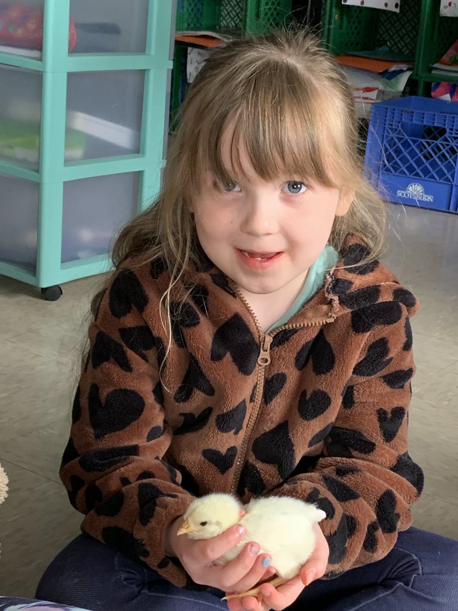 What a great way to clue up Buddy Reading for the year.  Mr. Freezies and baby chicks!!  ⁦<a href="/RoncalliSchool/">Roncalli Elementary</a>⁩