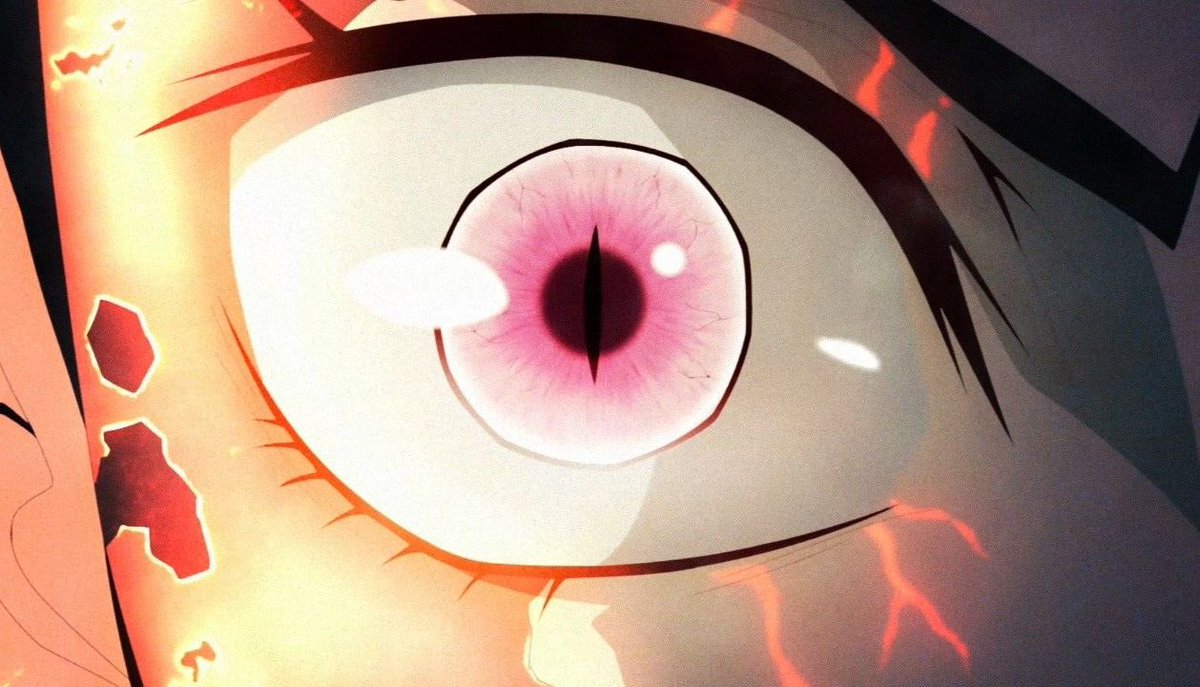 Daily Nezuko tweet media