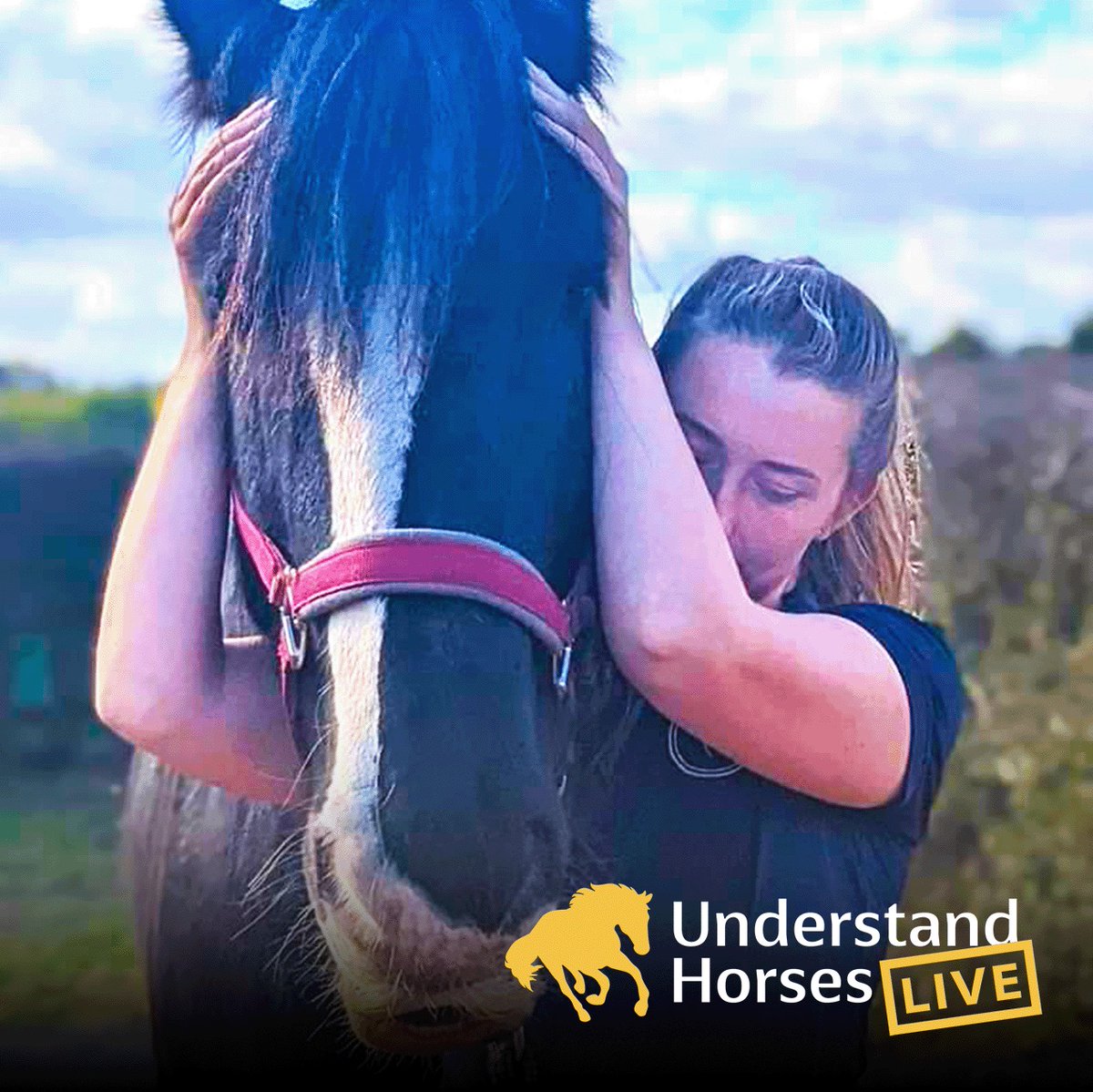 equine_courses's tweet photo. Yasmin Stuart will be presenting a demo about equine physiotherapy from a consent-based perspective at Understand Horses Live on 2nd July.

More info: 

https://t.co/CAf1u0vGsv

#equinephysiotherapy https://t.co/eyvWIvPDkA