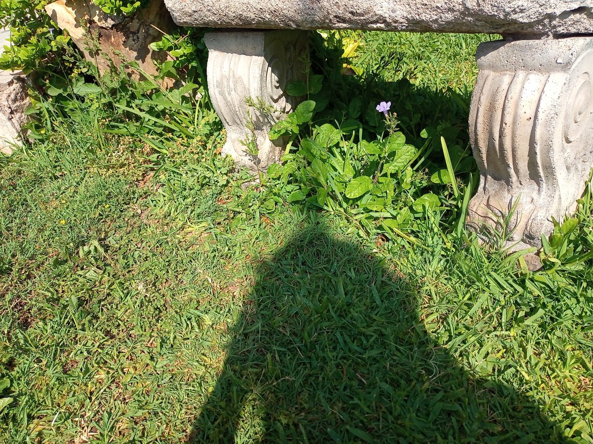 Ojala mi vida fuera como en stardew valley