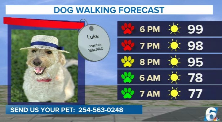 Luke looking spiffy on our fur'cast tonight. Hot pavement and the chance for storms has paws on red initially, better to head out for the walk closer to sunset and early tomorrow morning.