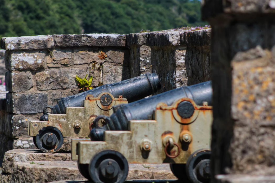 Plas Newydd cared for by the National Trust <a href="/nationaltrust/">National Trust</a> @NTWales #home #angelsey #NorthWales #summer #daysout