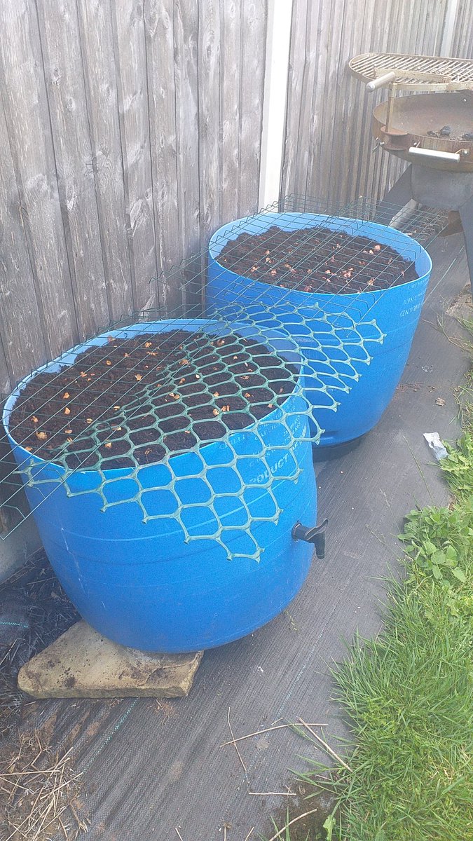 llw_ltd's tweet photo. Upcycled my broken waterbutt. Loving me time in the garden. #gardeningtips #reuse #fitit https://t.co/95eznqtF1t