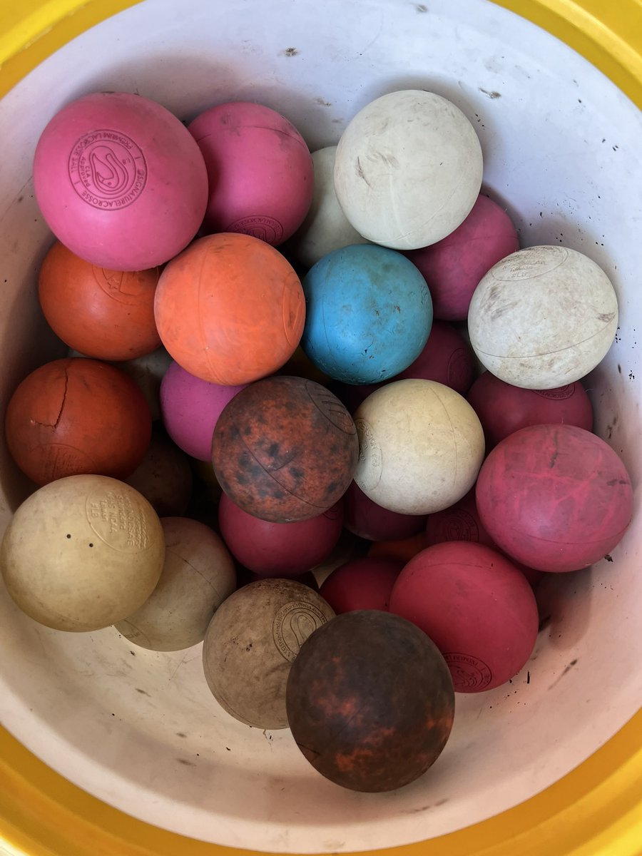 Some donations to the program are priceless.