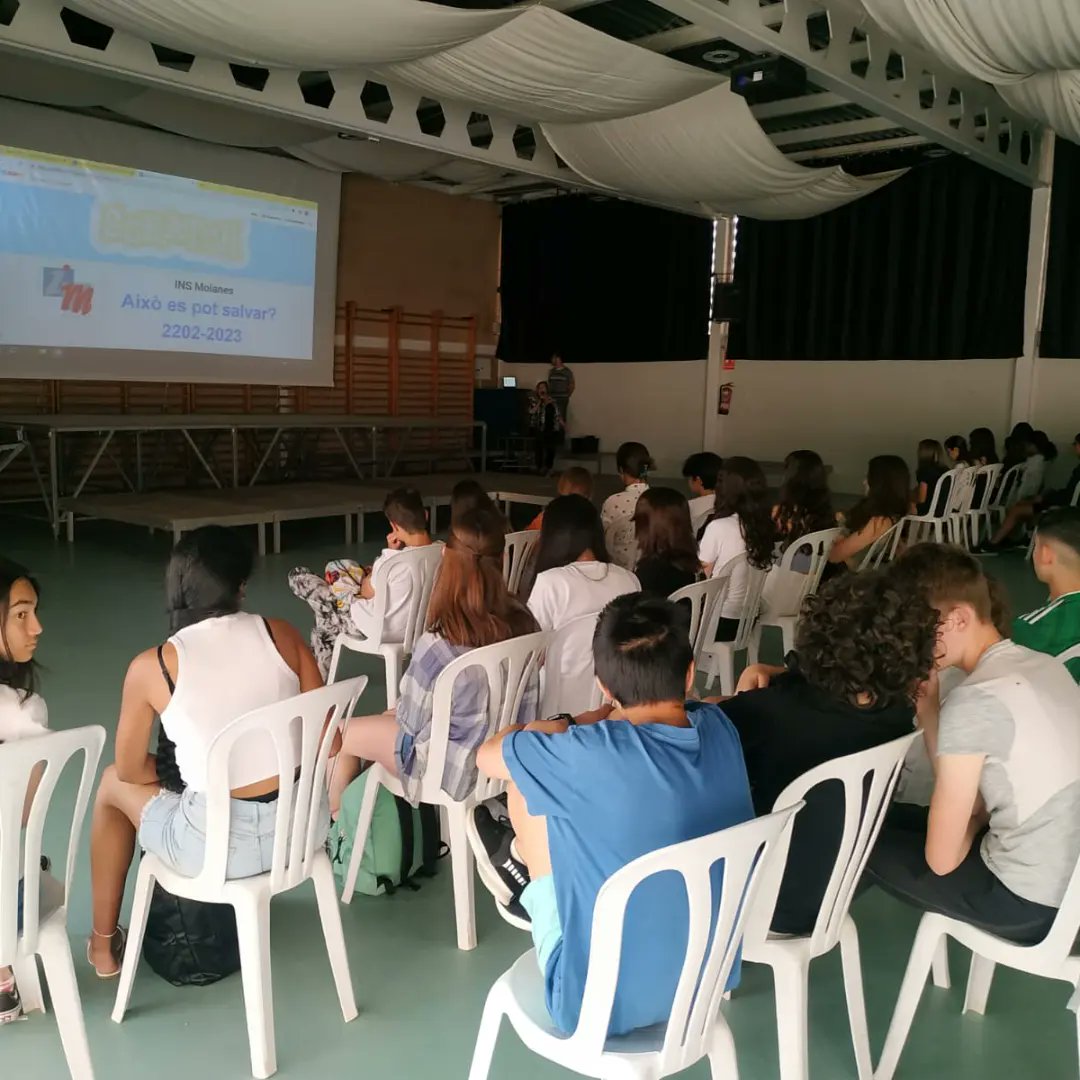 InsMoianes tweet media