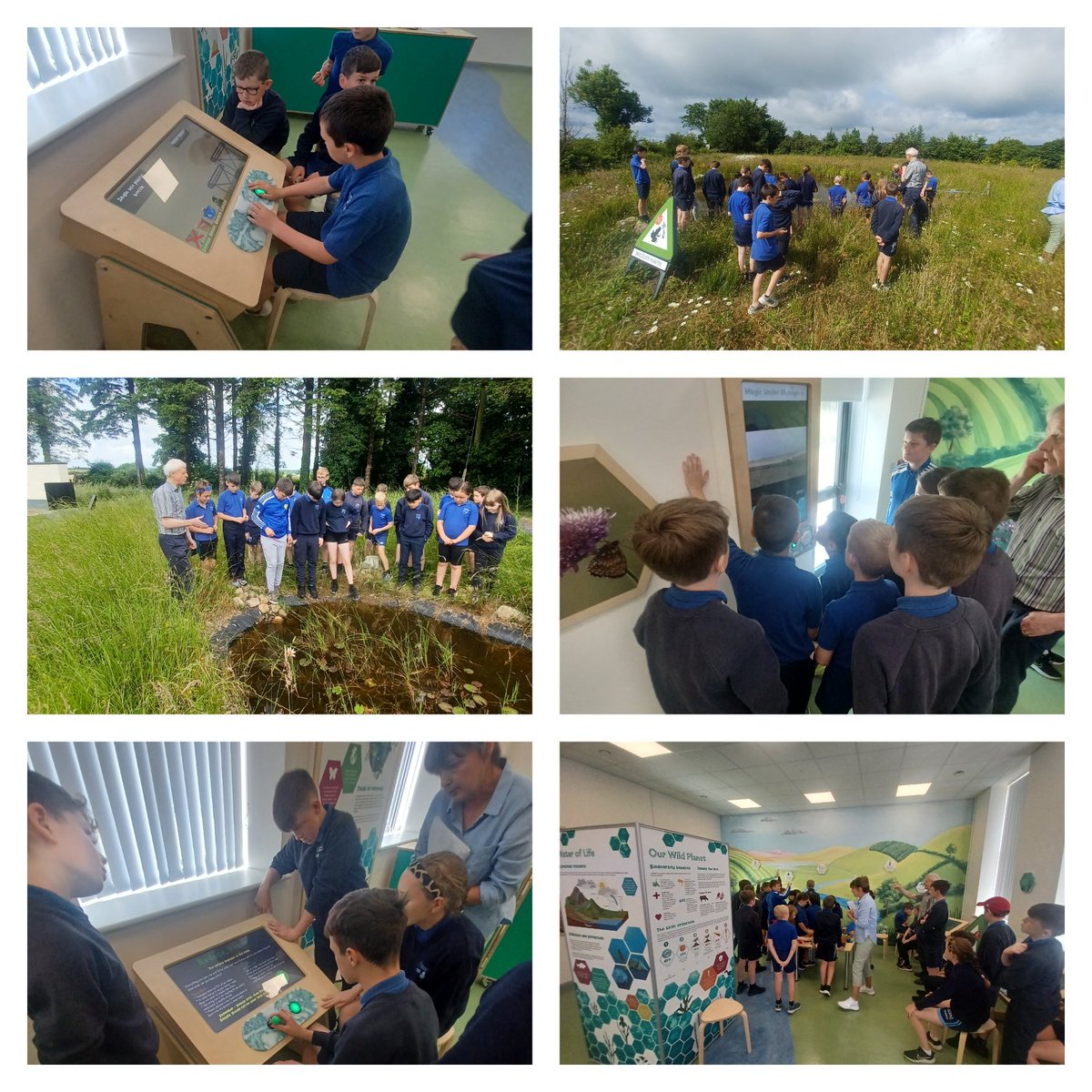 St. Dympna’s National School tweet media