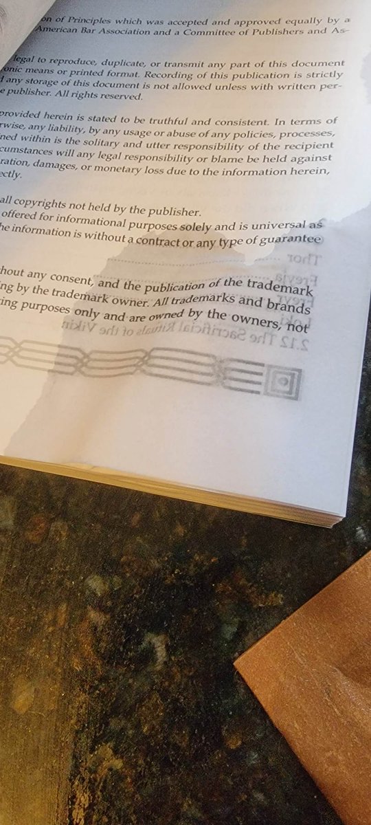 Butters (Chatty Catty)🐾🏳️‍🌈 tweet media