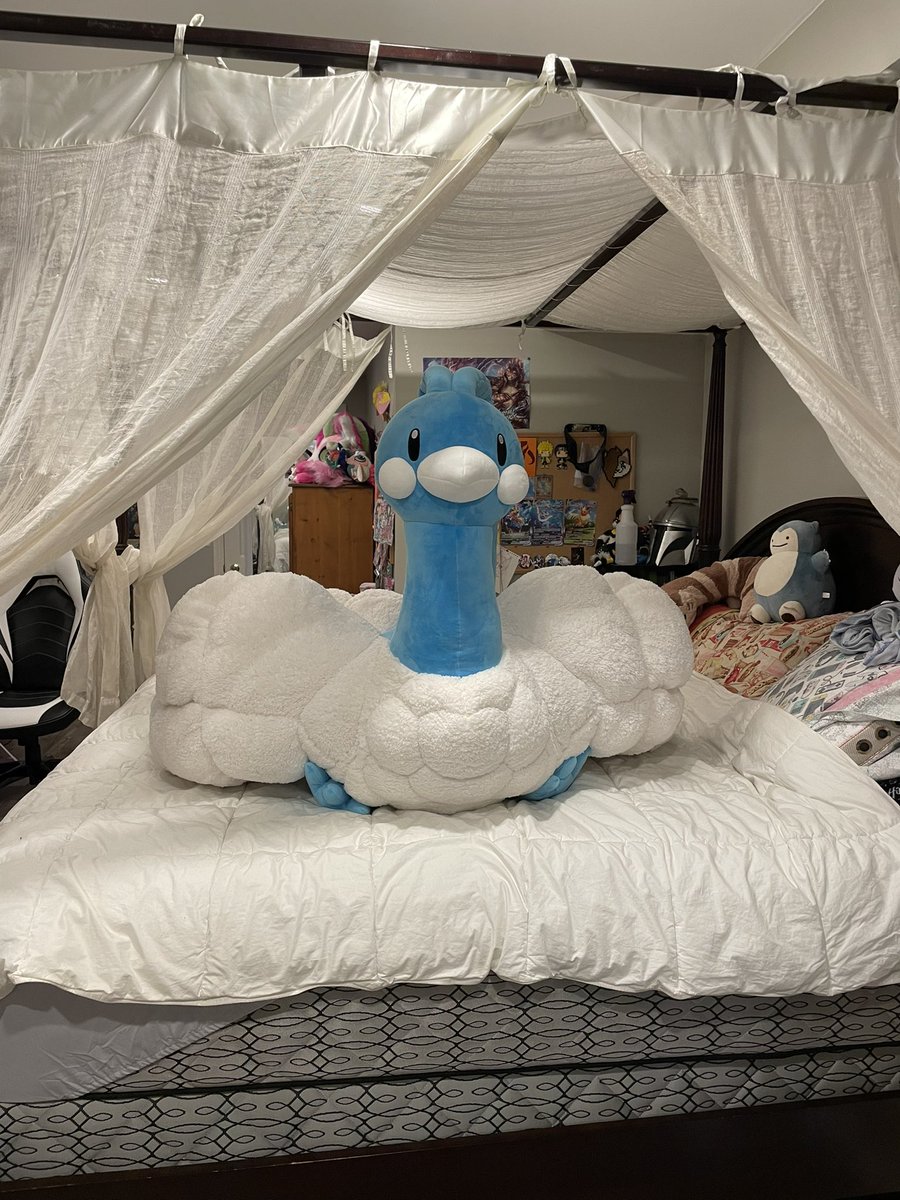 Mothmew's tweet photo. For reference I have a king size bed 😭😂 https://t.co/1KoavsptGx