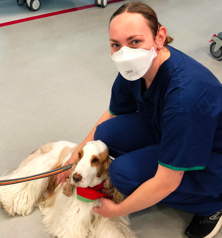 CanberraHospitalFoundation tweet media