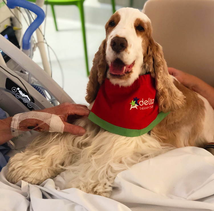 CanberraHospitalFoundation tweet media