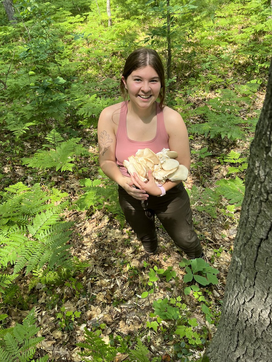 successful field outing today to three of our field sites! some fun things we found, plus an entire armful of spring oyster mushrooms!