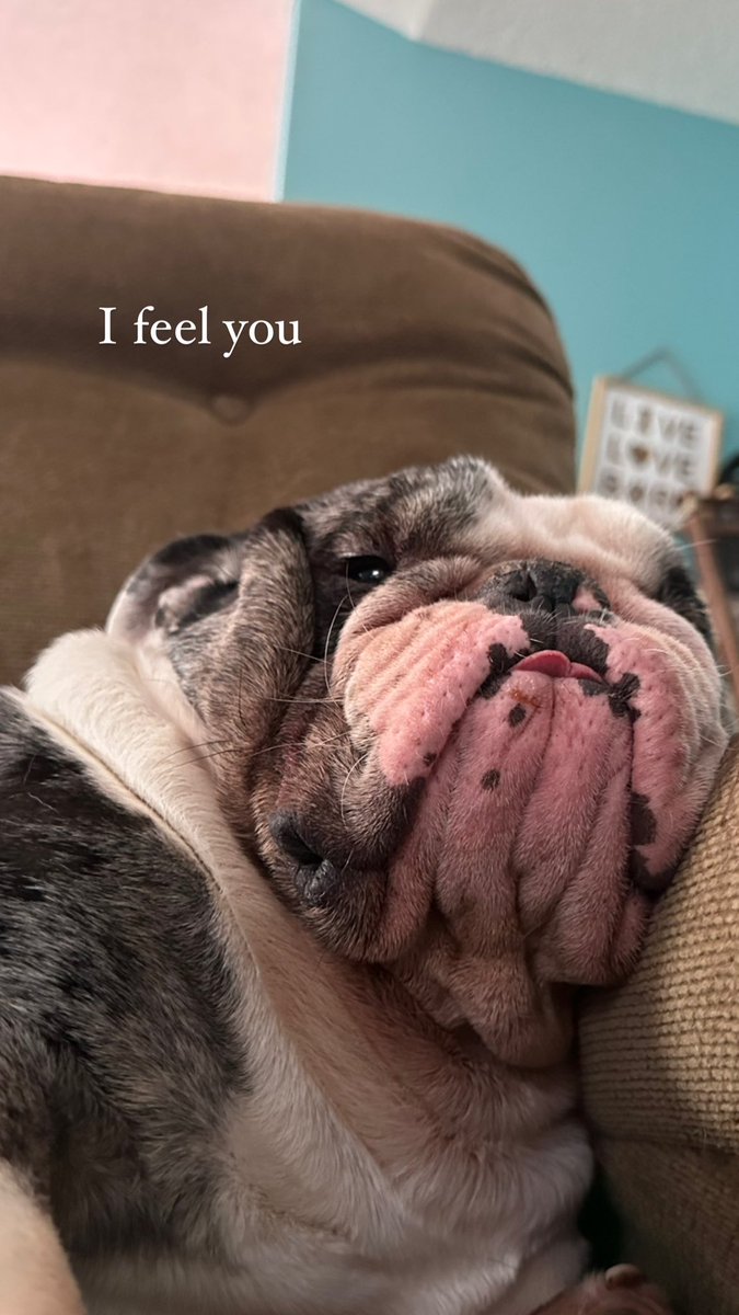 dianasoraa's tweet photo. @sushada5 Girl it’s hard. My heart aches when Zeus cries. Now he likes the recliner 😂😂 that’s his new home. Only goes to the cage when it thunders https://t.co/QVLFUG0gXF