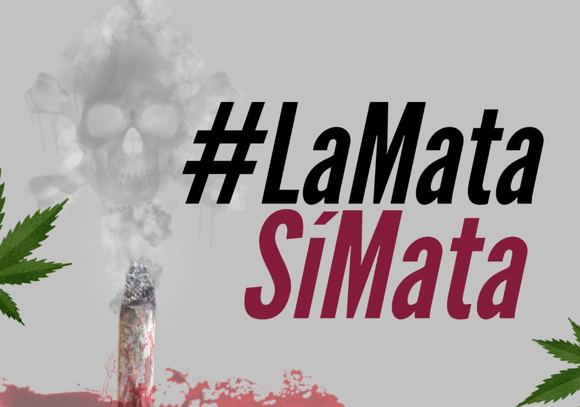 UnidosxlaVidaCo's tweet photo. ¿Y tu senador cómo votará?
#LaMataSiMata 
@yennyrozozam
@ciroaramirez
@honohenriquez
@mariafdsacabal 
@juanpablogallo
@mauriciogomezco
@miguelpintoh1
@lorenariosc
@joseamarin_
@nadiablel
@didierlobo_ch
@zabaraing
@guidoecheverri
@jairosenador50
@normahurtados
@josedavidname https://t.co/vdZAWEYAHr