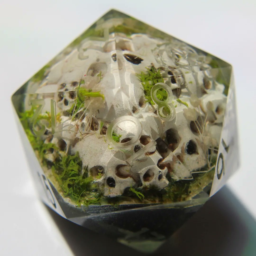 Rebirth 🌿
#handmadedice #diceartisan #dicemaker #dice #dadi #skulldice #skull