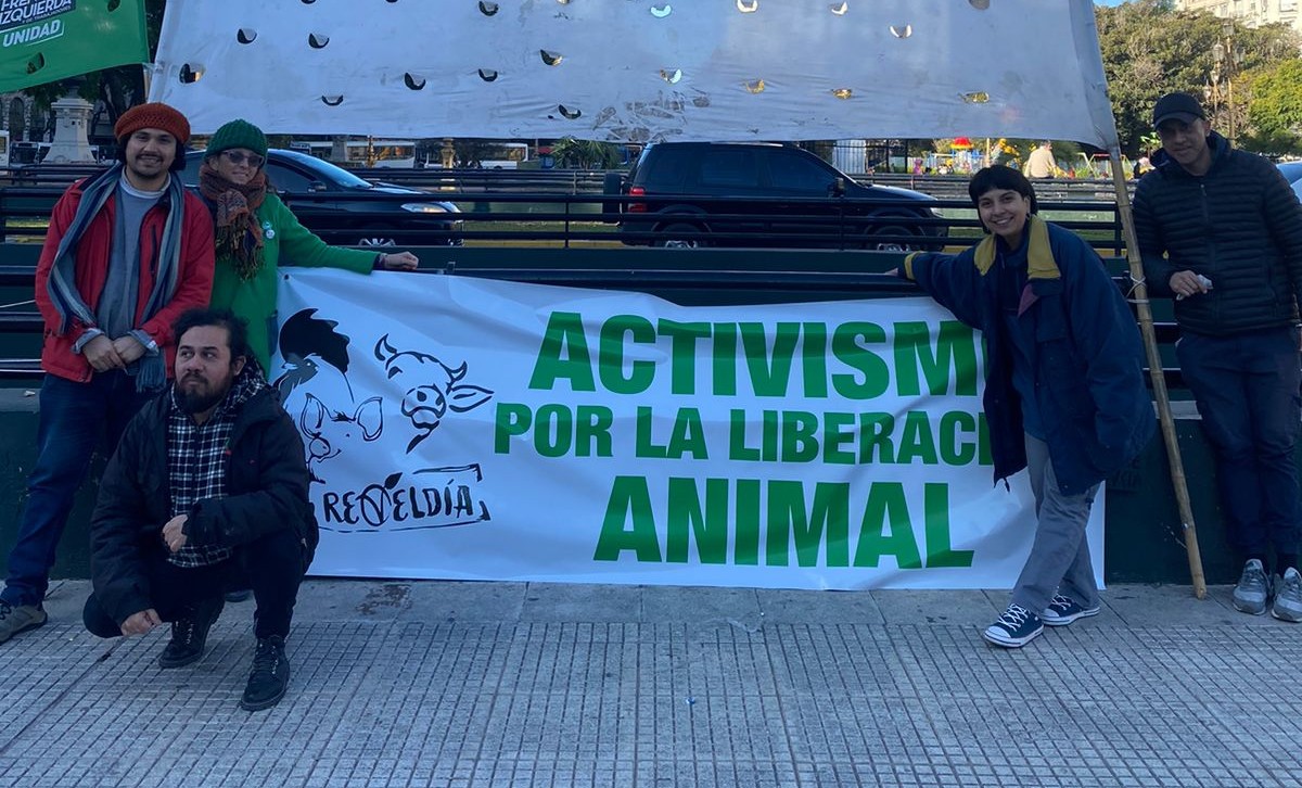 Un registro de nuestro apoyo al Plenario del Fit U este pasado 17 de Junio. La Reveldia es organizada y por todxs,incluyendo a los demás animales.
#activismo #lareveldia #antiespecismo #Veganismo #Fitu #PlenarioDeLaIzquierda