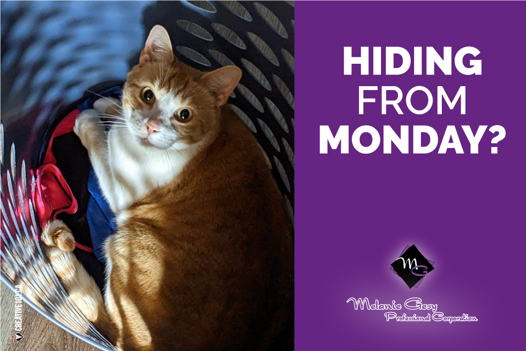 #Monday will find you no matter where you hide but it doesn't have to be a bad thing.
It's a clean slate so start your week off right! 😊👊 Have a great day!

#LeducBusiness #LeducAccounting #LeducAccountant #LeducBookkeeping #EdmontonAccountant #LeducTaxes