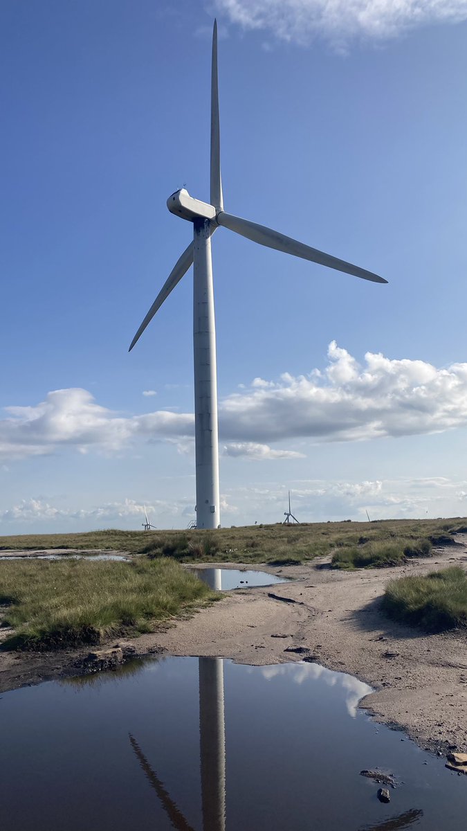 funnypenny's tweet photo. So much wild cotton grass up around Hail Storm Hill, it looked like patches of snow. #hailstormhill #rossendale #windmills #scoutmoorwindfarm #cowpemoss #penninebridleway #rossendaleway #cheesden #knowlemoor #wildcottongrass https://t.co/AMEDbGJkIQ