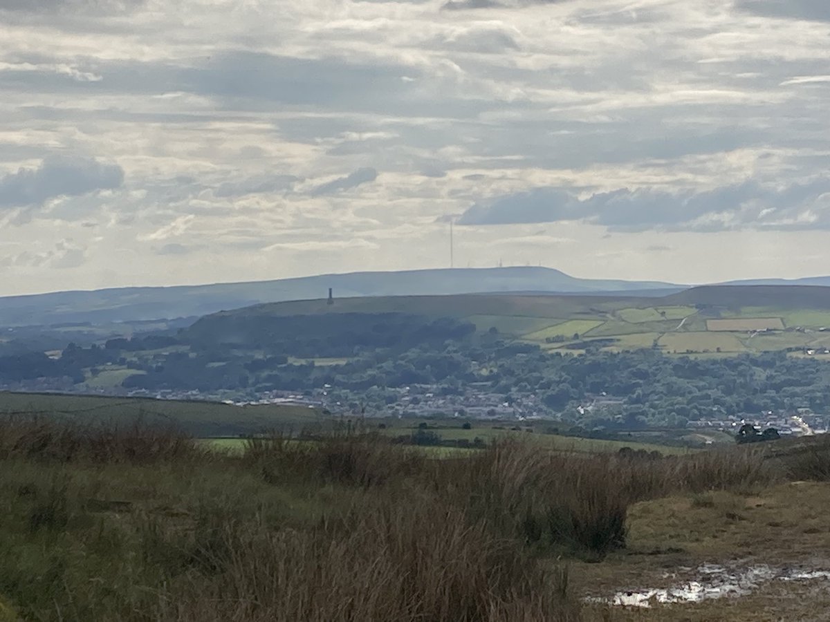 funnypenny's tweet photo. So much wild cotton grass up around Hail Storm Hill, it looked like patches of snow. #hailstormhill #rossendale #windmills #scoutmoorwindfarm #cowpemoss #penninebridleway #rossendaleway #cheesden #knowlemoor #wildcottongrass https://t.co/AMEDbGJkIQ