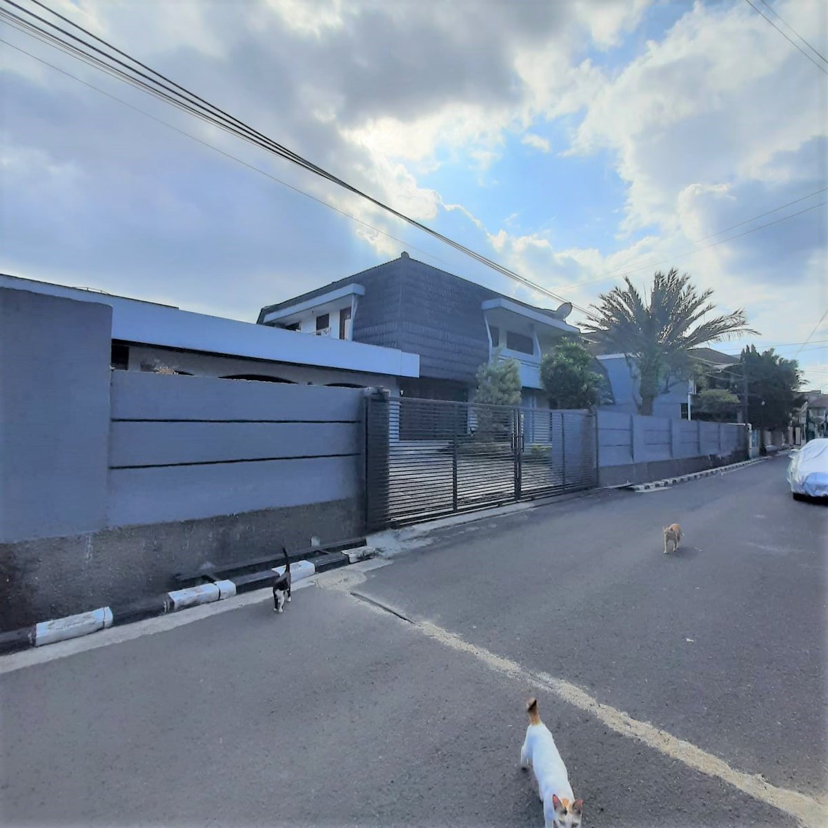 wnugros's tweet photo. Barangkali cari buat kantor/rumah dgn lahan luas,asri tp murah ditengah kota bandung, ini bs jd pilihan Lt.719/422 Lm 32m tanah kotak, SHM, akses tdk macet/banjir.......lsg pemilik https://t.co/3hBp9V6Wkr