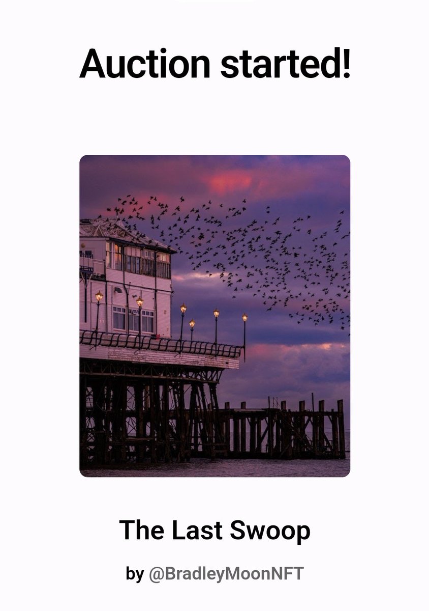 Omg what!! 😱

An auction has just been kicked off on The Last Swoop by <a href="/Kashpeler/">Kashpel</a> ! 🤯

I can't believe it! Thanks so much ! 🙏❤️

Let's fricking goooooo! 🎉🥳