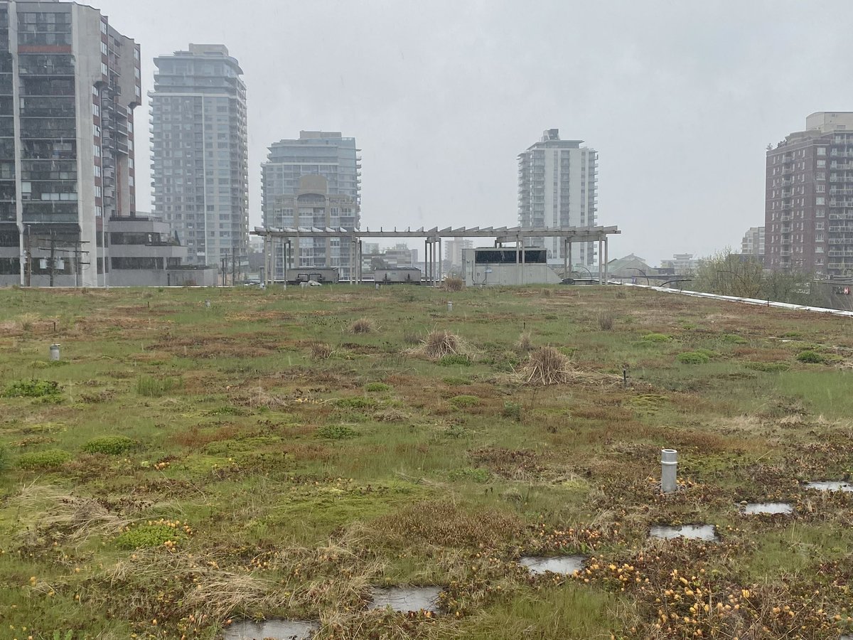 Glad to see Vancouver roofs getting a good dose of rain in preparation for a busy summer schedule. More rooftop tours coming SOON!

Our last event was at capacity so make sure to subscribe and get first dibs once registration opens
