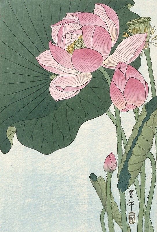 tia_visagie's tweet photo. Thread: 

🪷The lotus flower is rich in symbolism across various cultures and traditions. Here are some key symbolisms associated with the lotus flower: https://t.co/phkwVs3VJw