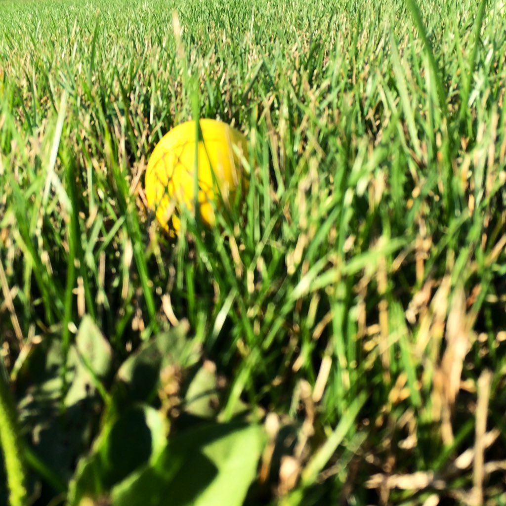 Week 4: <a href="/OWFLacrosse/">OWFL</a> - Bengals U19 | Hamilton 10, Oakville 6. Hamilton 16, St.Catharines2 2. Bengals U15 | Hamilton 16, St. Catharines 2. Kitchener-Waterloo 13, Hamilton 3. #HamOnt <a href="/sport_hamilton/">SportHamilton</a>