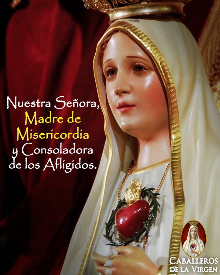 Cab_Virgen's tweet photo. Acuérdate,
¡oh piadosísima, Virgen María!,
que jamás se ha oído decir
que ninguno de los que han acudido
a tu protección,
implorando tu auxilio
haya sido
abandonado de Ti.
Animado con esta confianza,
a Ti también yo acudo,
y me atrevo a implorarte
a pesar del peso de mis https://t.co/yZW46lrclt
