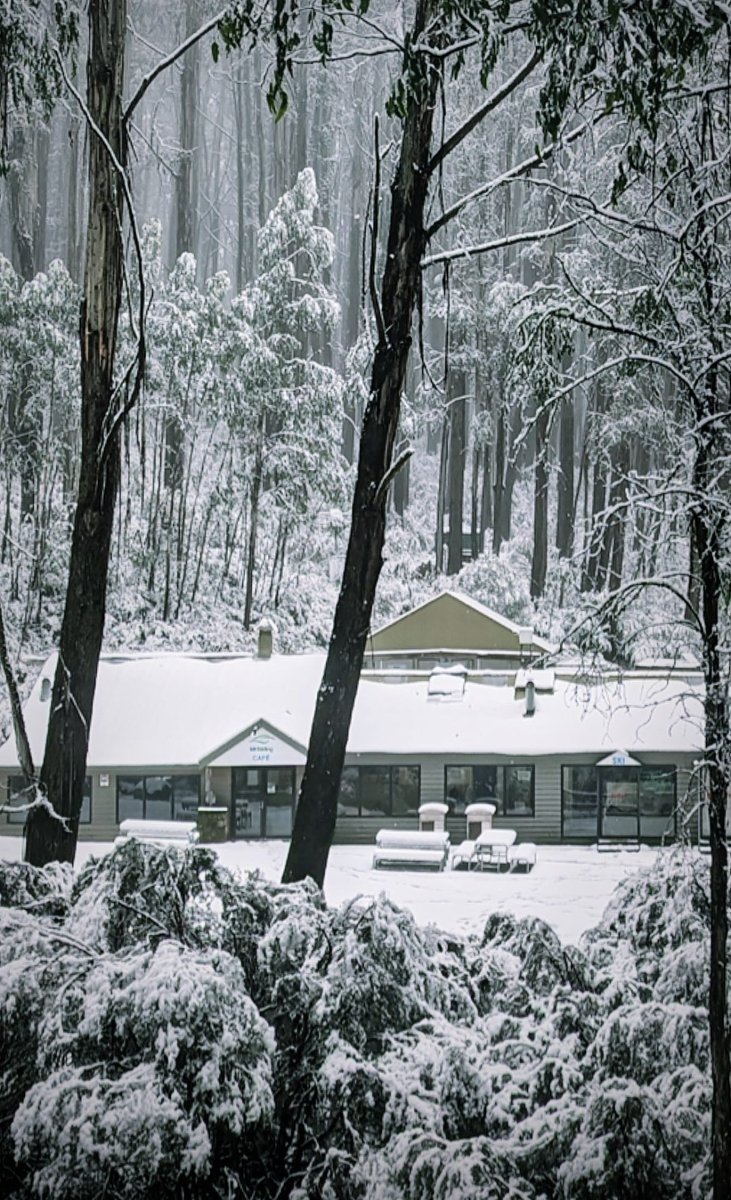 Bergeonline's tweet photo. Good morning from Australia where it's-7°C
The apocalyptic Catastrophic Global Heating #PukeFest #BlizzardOfOz in full effect. @LofayPeter @WooSpry @Climate_Earth20 @JaggerMickOZ @OutsidersFan2 https://t.co/a1juzRnnWg