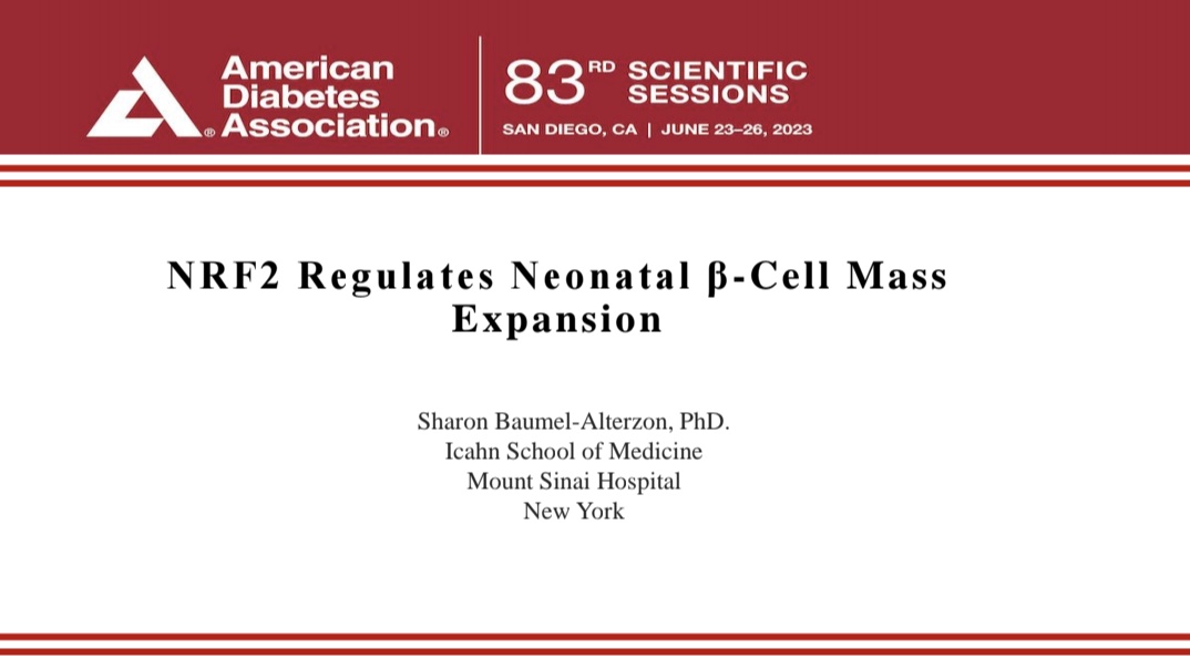 During neonatal ages, there is a big burst of beta-cell proliferation that contributes to beta-mass in adulthood. 

Both oxidative stress and NRF2 seem to have an important role in this process. 
Come and hear all about it at the coming #ADA2023.