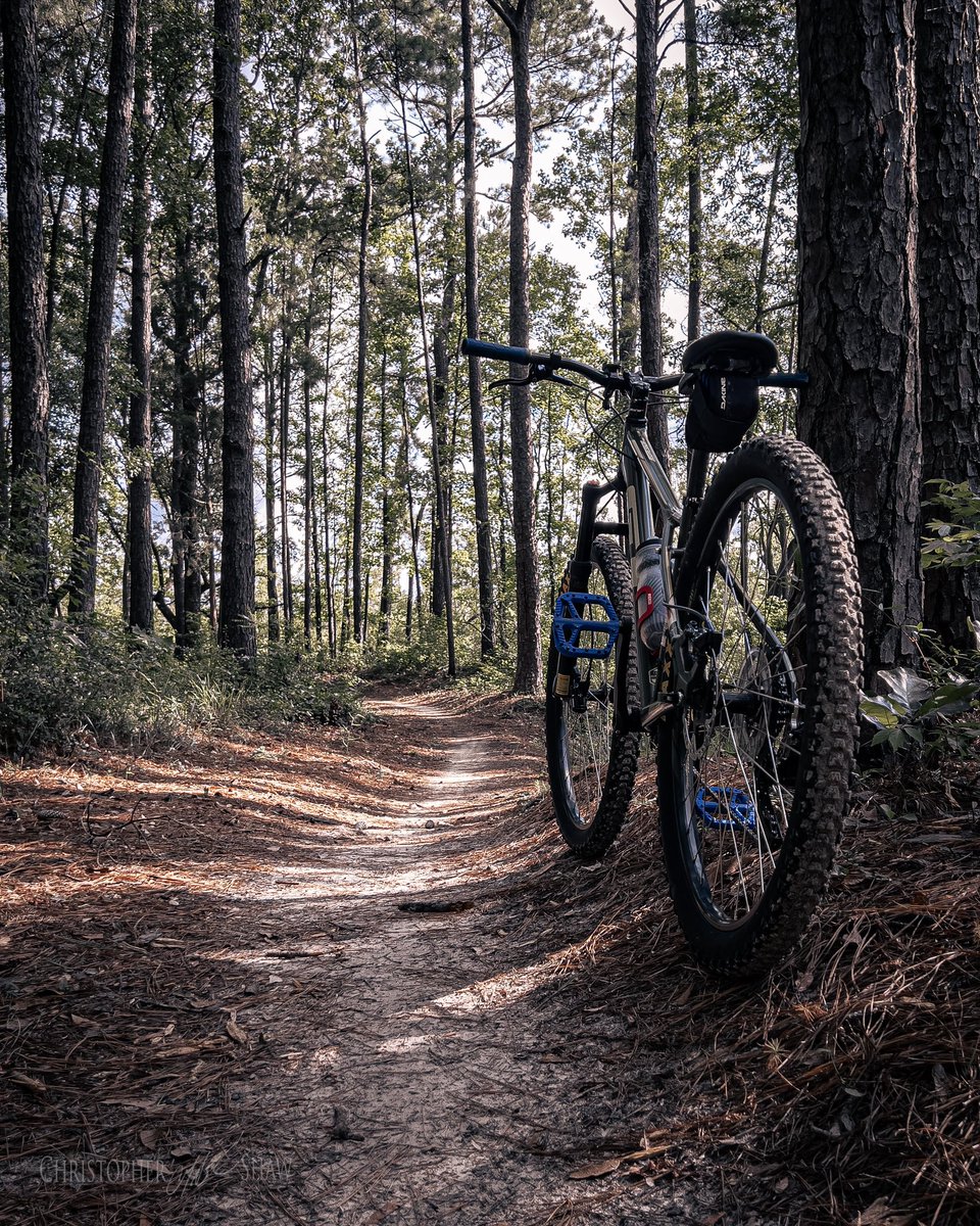 On the Trail
Day 292 of #365photoadaychallenge

#Iphone #iphonephotos #iphonephotography #shotoniphone #iphone13pro #mobilephotography #photooftheday #photography #photoaday #photographylife #365photochallenge #photochallenge #Bicycle #mountainbike #MTB #Nature #Cycling