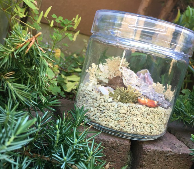 Twitterのコスプレ画像42