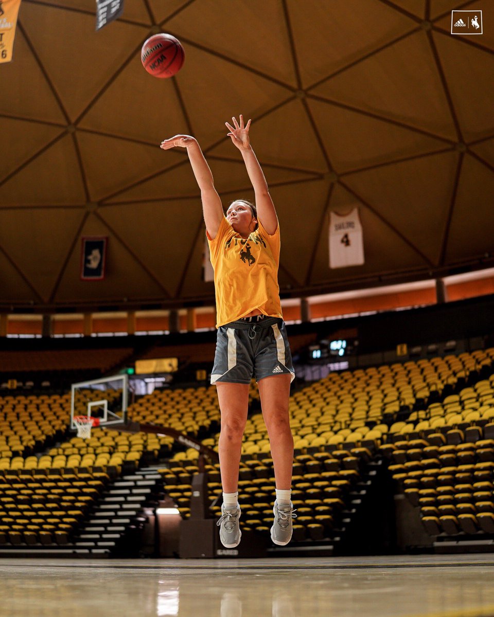 Wyoming Cowgirl Basketball tweet media