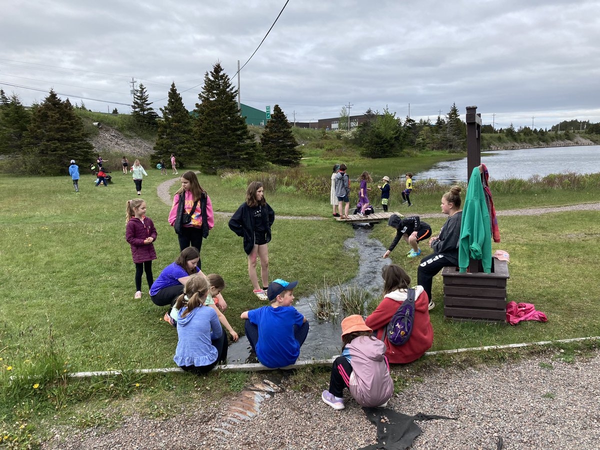 MsYoungSHA's tweet image. A little late posting but we had such fun with our Buddy Readers at Jane’s Pond. @SHA_NL