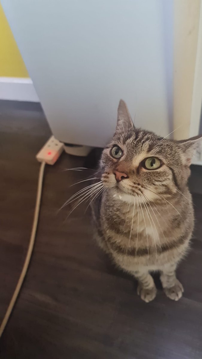 David Wilde tweet media