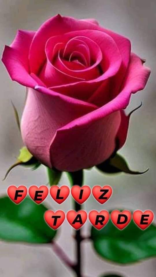María de los Angeles Perez Martinez (@pzangeles_) on Twitter photo 