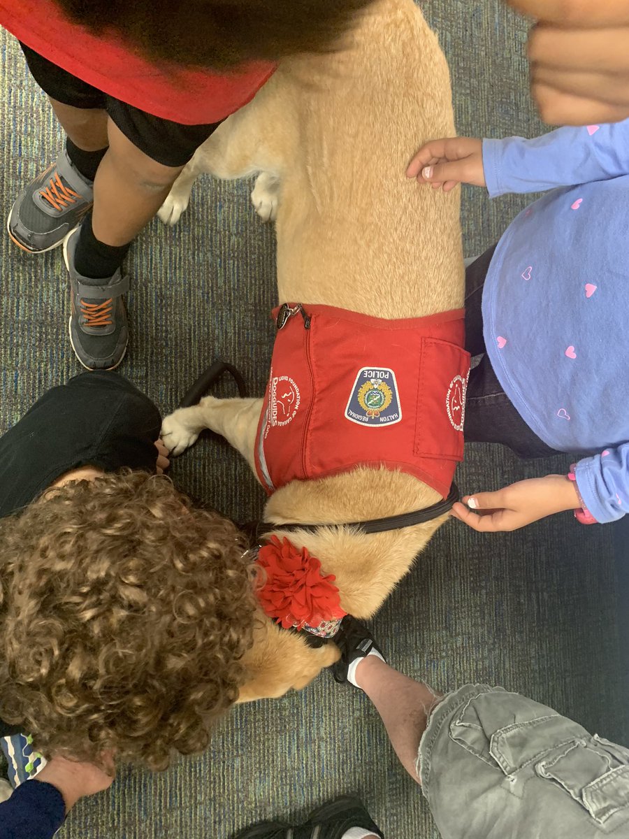 📕we had a great visit at @OakvilleLibrary today! We coded with Dash Robots, did 3D pixel art, spent time with Journey the facility dog and even signed up for our own library cards! Summer reading program here we come📕