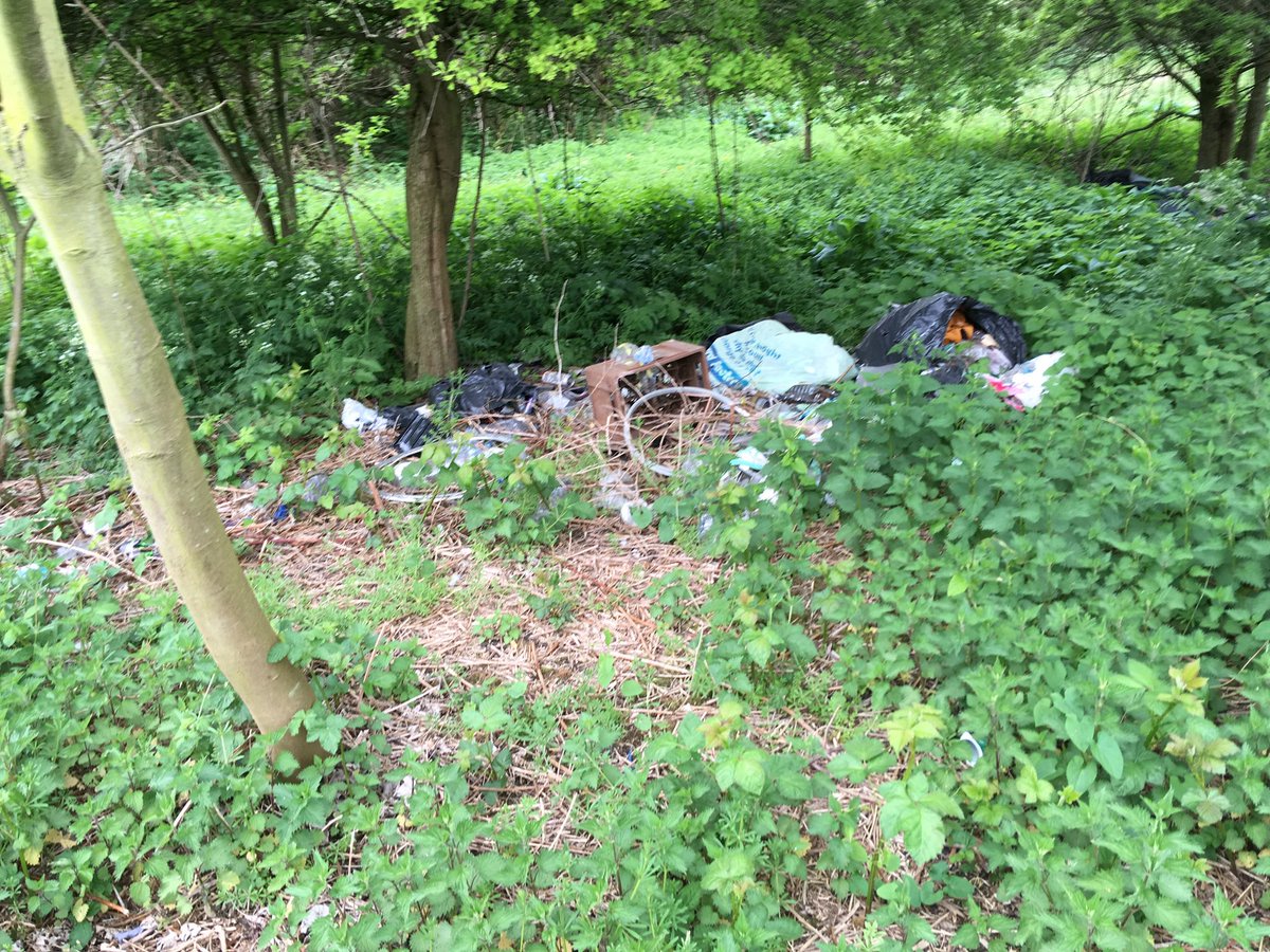 StonebridgeLock's tweet photo. Photos of @haringeycouncil #ThePaddock #RiverLea mostly secluded,priority natural bank riparian habitat taken April 2018 - view along the #LondonLea #LeaRiver &amp; not from the river towards #Lock17, #HaleWharf, as per previous quote tweet (2018 the highrise was under construction) https://t.co/wYnmMBqrIg
