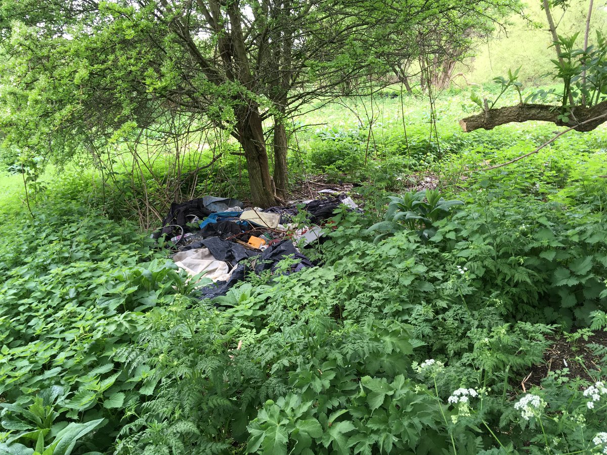 StonebridgeLock's tweet photo. Photos of @haringeycouncil #ThePaddock #RiverLea mostly secluded,priority natural bank riparian habitat taken April 2018 - view along the #LondonLea #LeaRiver &amp; not from the river towards #Lock17, #HaleWharf, as per previous quote tweet (2018 the highrise was under construction) https://t.co/wYnmMBqrIg