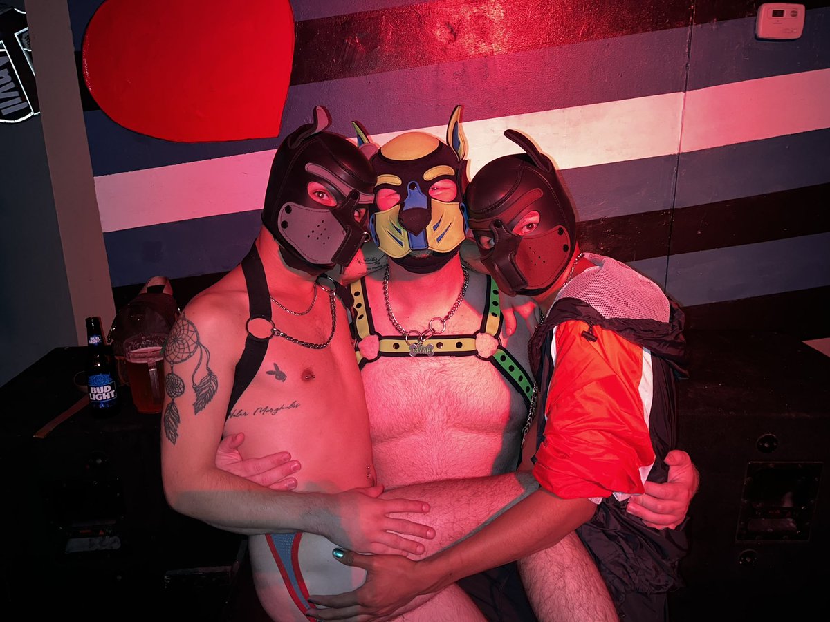 pup_myah's tweet photo. I love these babies! @PupWammy and @_PUP_ARIES_ are some of the newest Pups to the community. Wammy 🩶 is playful, silly, and rambunctious. Aries🤎 is sweet, affectionate, and curious. They are great pups and I’m proud of them and lucky to call them friends! Awroo https://t.co/KfbcP1kIhY