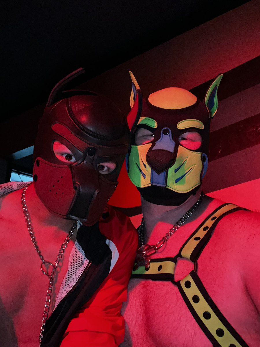 pup_myah's tweet photo. I love these babies! @PupWammy and @_PUP_ARIES_ are some of the newest Pups to the community. Wammy 🩶 is playful, silly, and rambunctious. Aries🤎 is sweet, affectionate, and curious. They are great pups and I’m proud of them and lucky to call them friends! Awroo https://t.co/KfbcP1kIhY