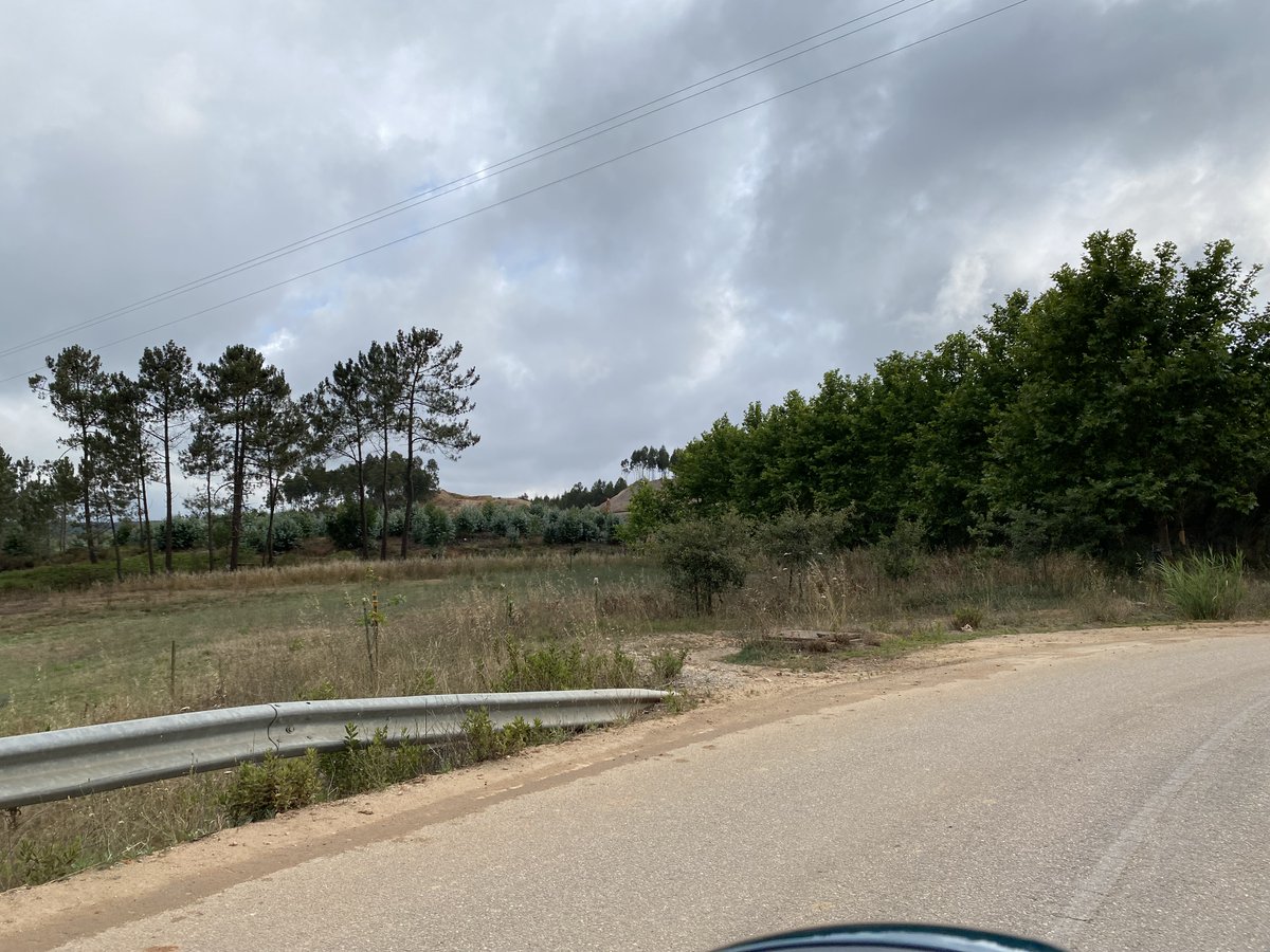 pmmrcosta's tweet image. Variante e retificação do troço Outeiro - Ramalhal (Torres Vedras).
Modernização e electrificação da linha do Oeste, troço Torres Vedras a Caldas da Rainha.
#comboios #linhadooeste #ferrovia