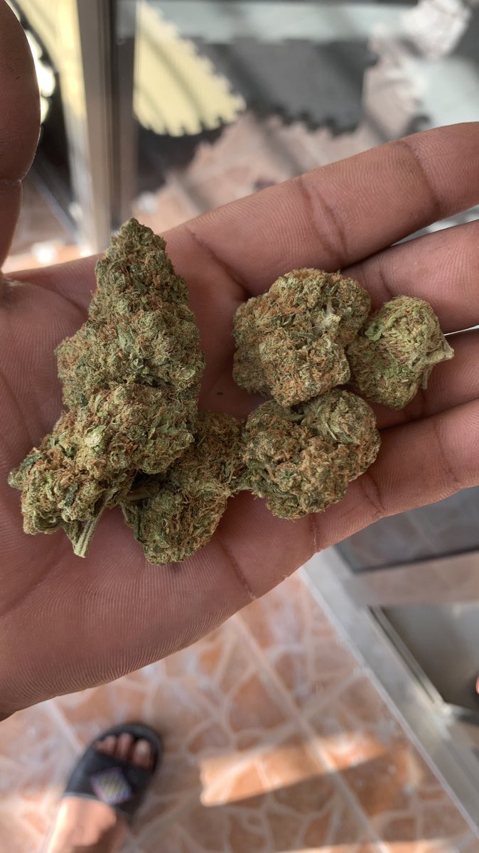 Tinmar4200's tweet photo. Good day guys #Cancun #420Life #cancunweed dm https://t.co/AOIDBJfD6H