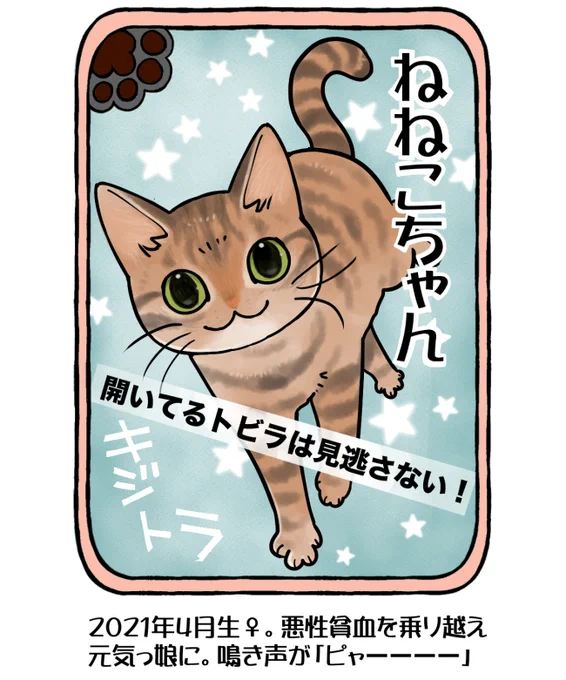 #今日の山野絵
#山野家登場犬猫紹介カード
7日目は ねねこちゃん🐈
夜道でうずくまっているところを保護。虫だらけ悪性貧血あり体重増えない発熱フラフラ…いろいろありましたが元気になりました✨

開いてる扉や引き出し、ちょっとした隙間を見つけるとす～ぐ入る…す～ぐ…💦

明日は はなこちゃん❗ 